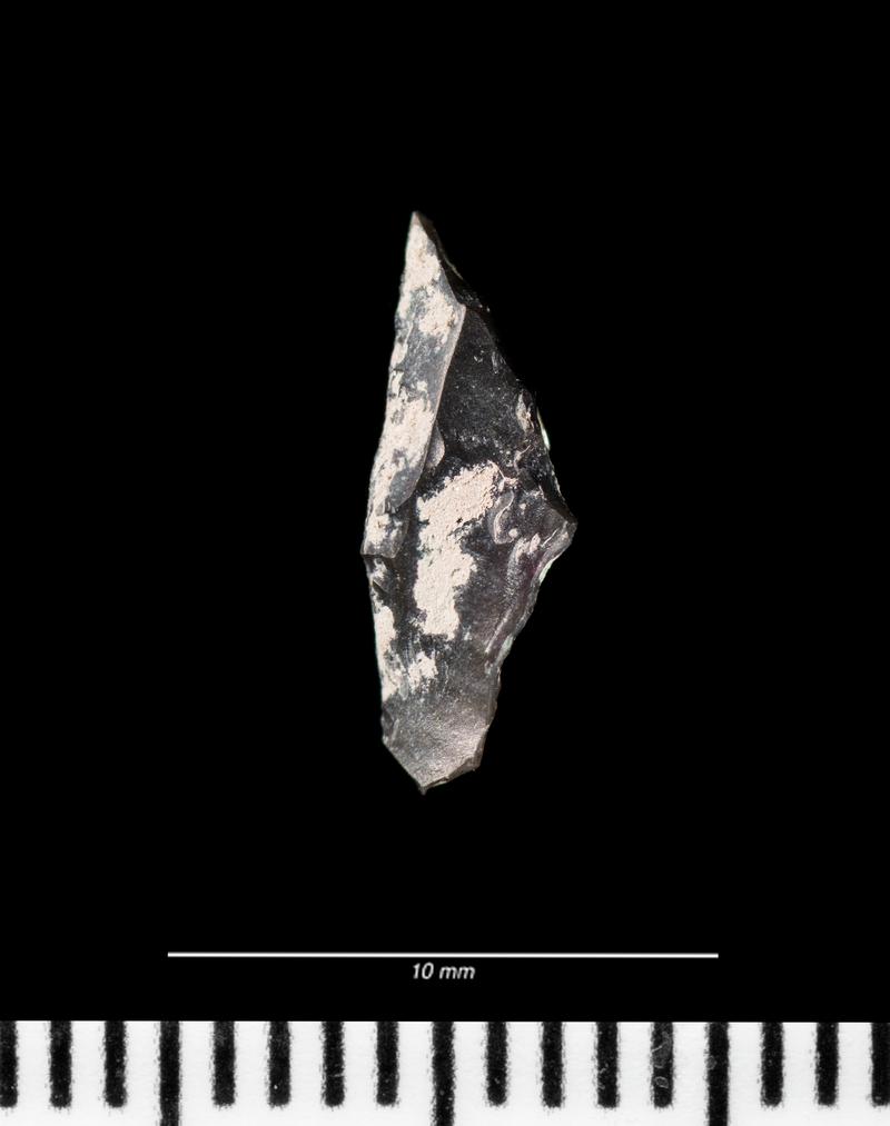 Mesolithic flint microlith