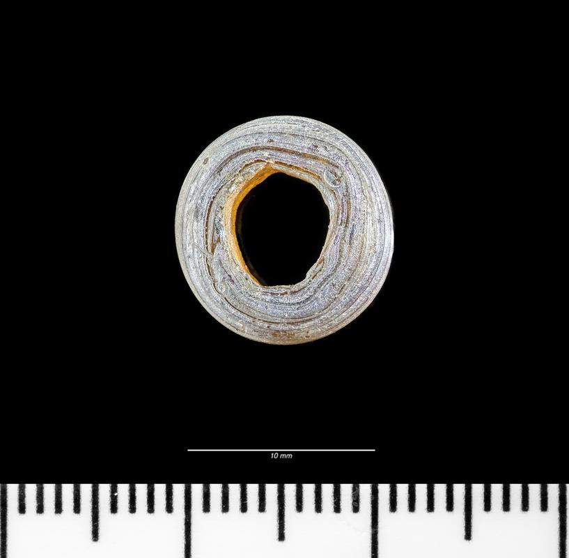 Roman glass annular bead