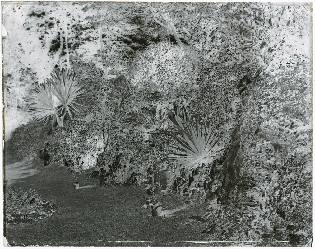 Penrice Castle, glass negative