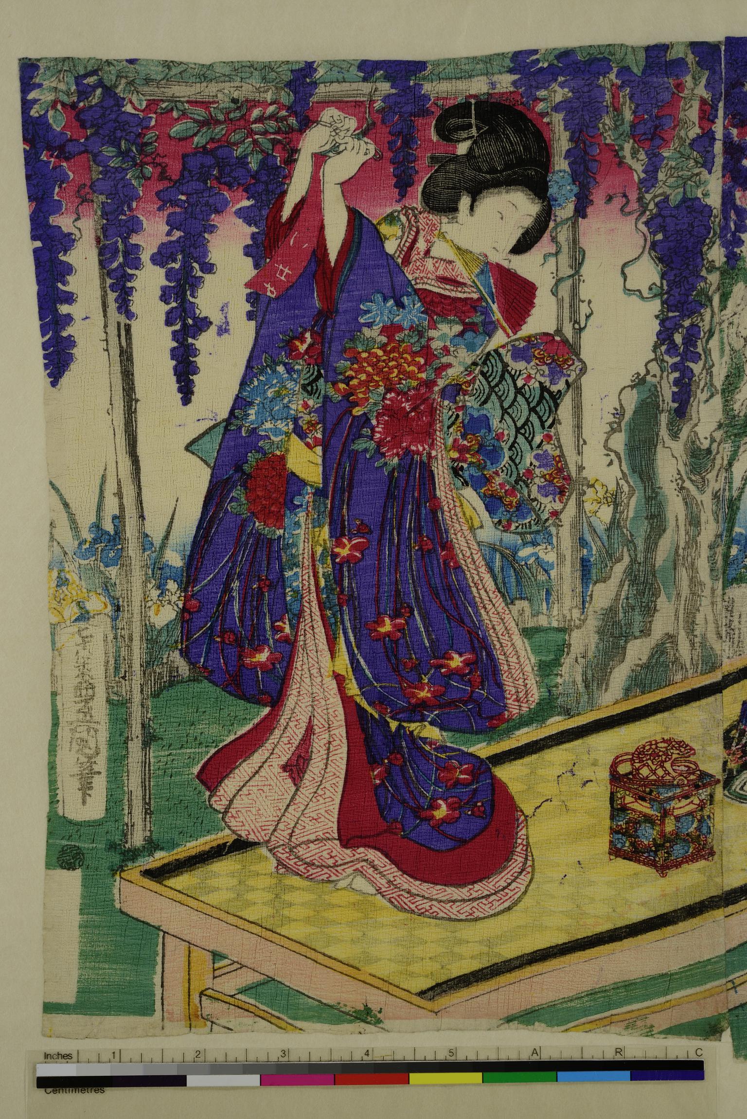 A Daimo in a Garden of Wisteria Blossom