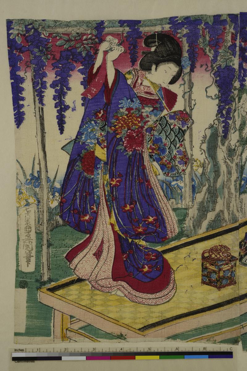 A Daimo in a Garden of Wisteria Blossom