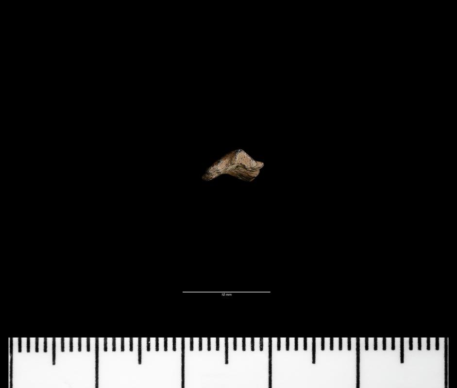 Llanbedrgoch 2004 - possible sword guard fragment