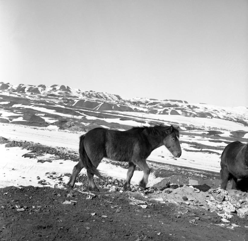 Blaenavon old side works, negative