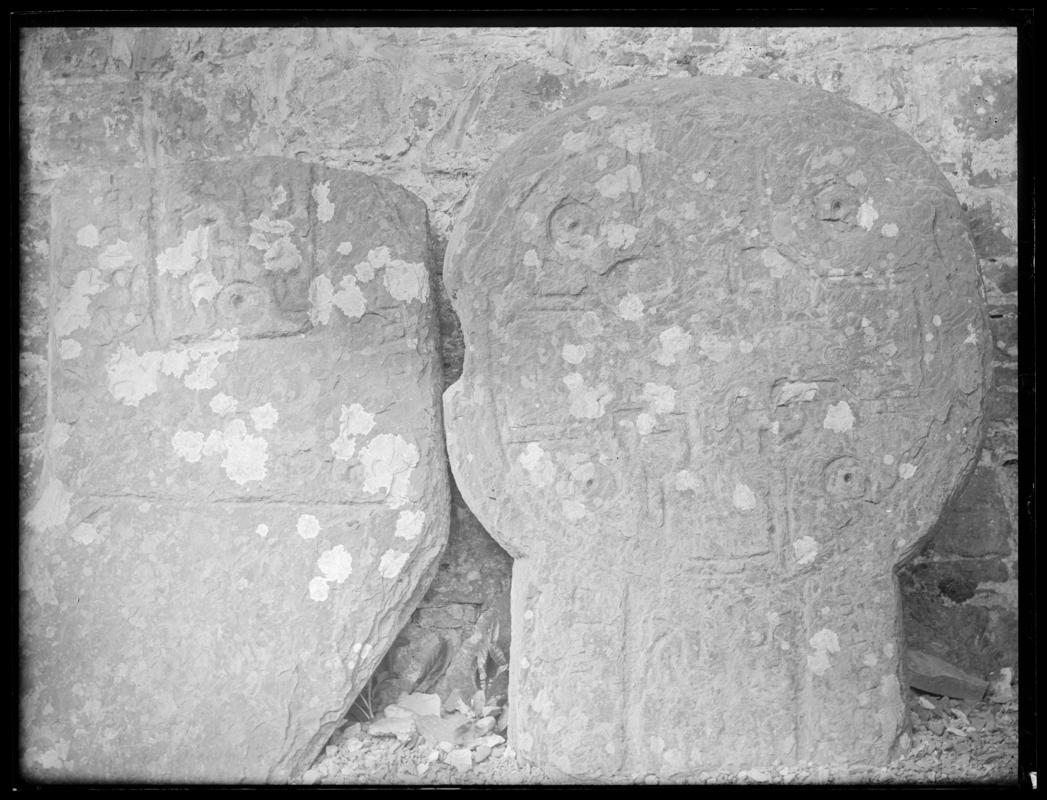 Photographic Negative