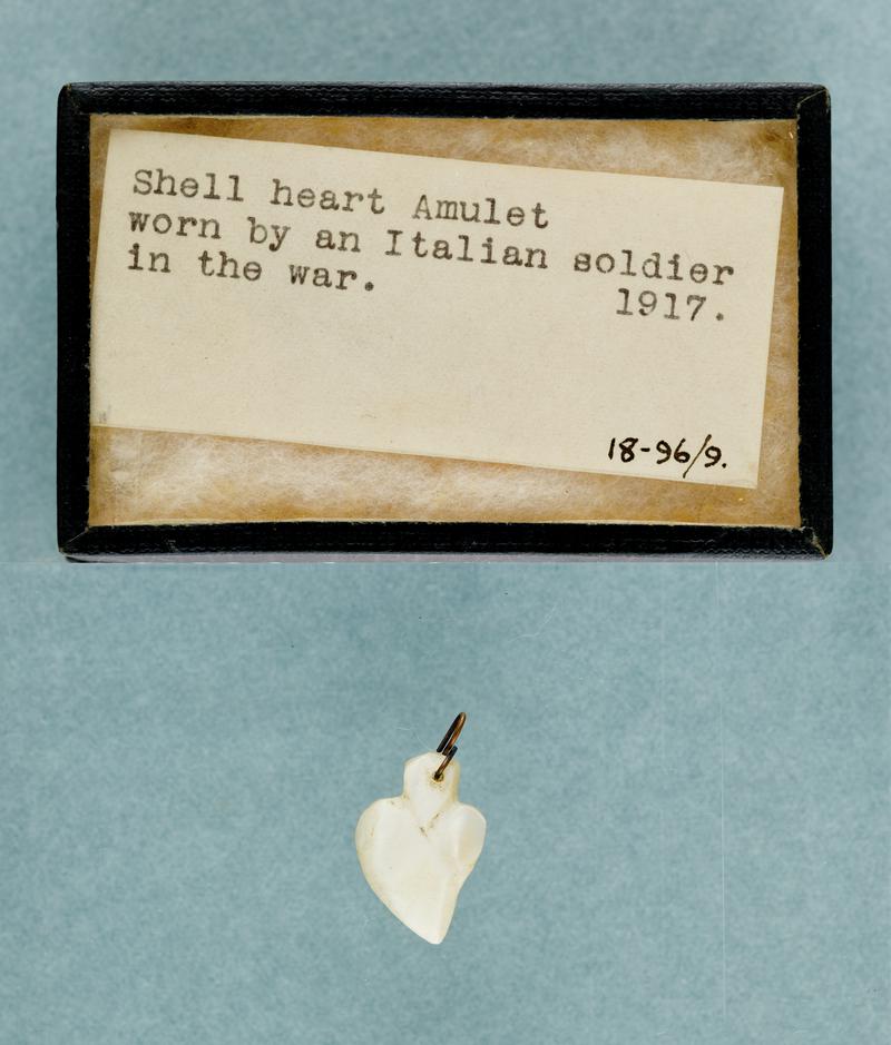Shell heart