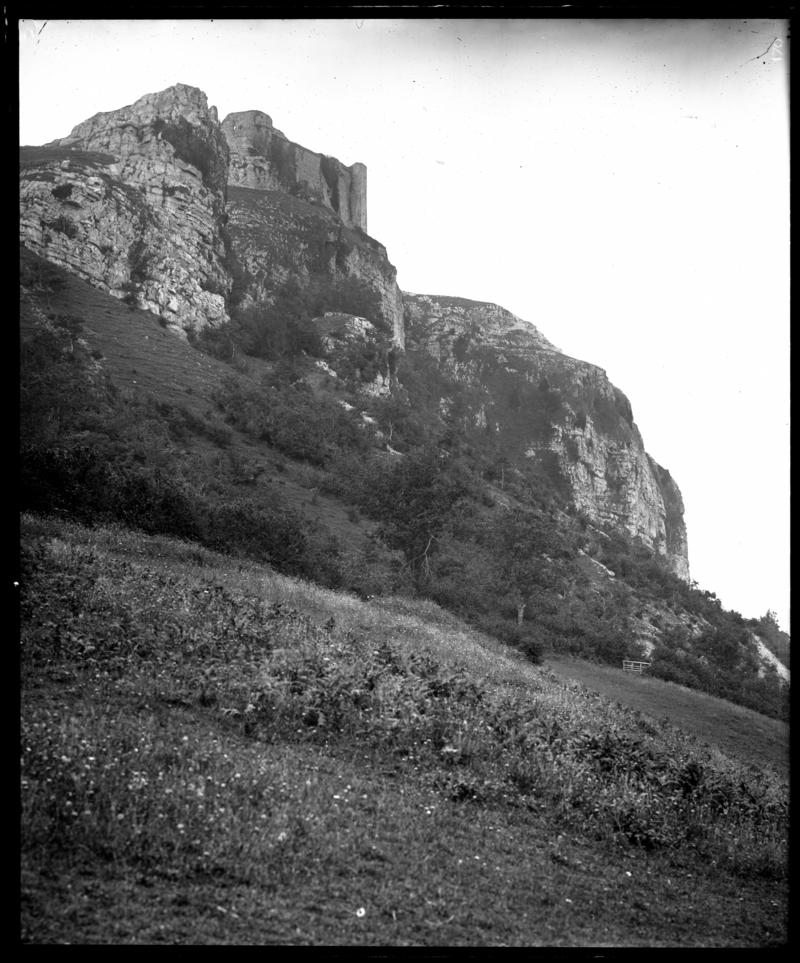 Photographic Negative