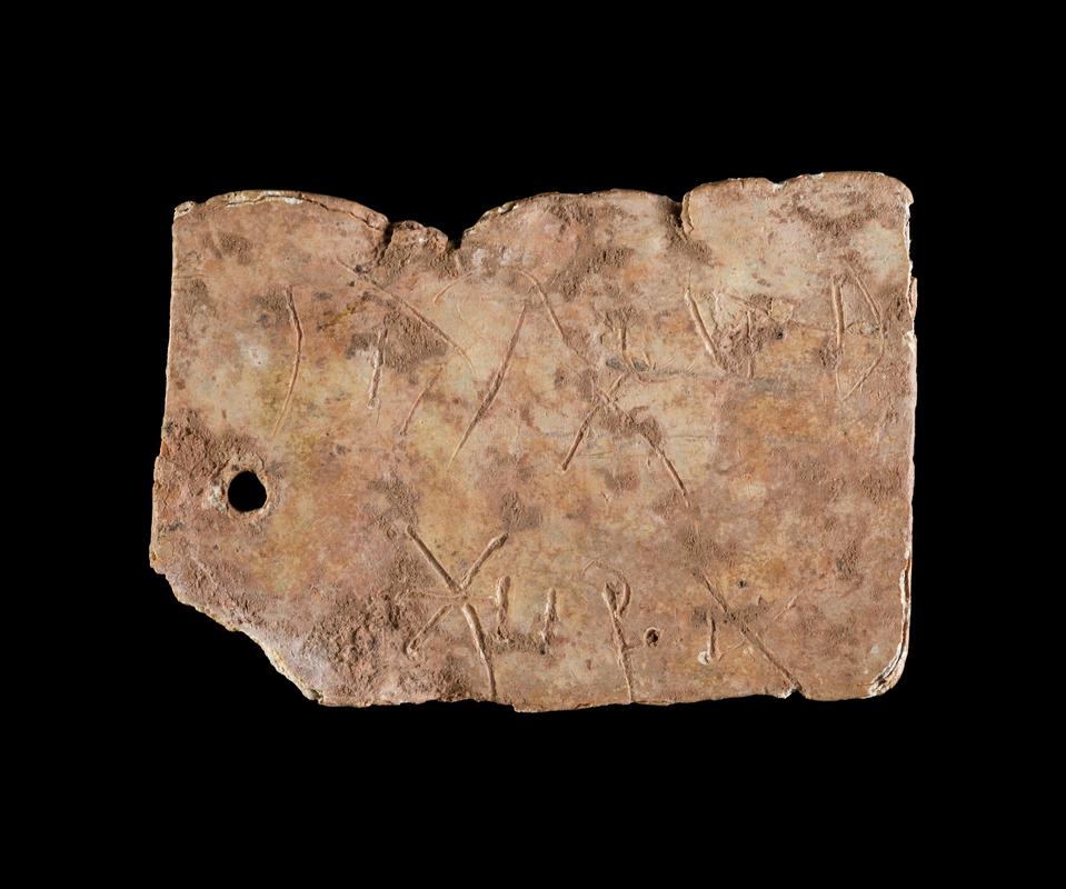 Roman lead baggage label