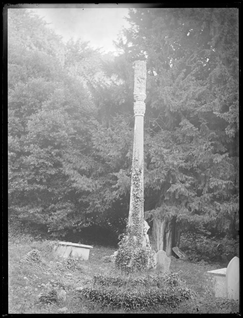Photographic Negative