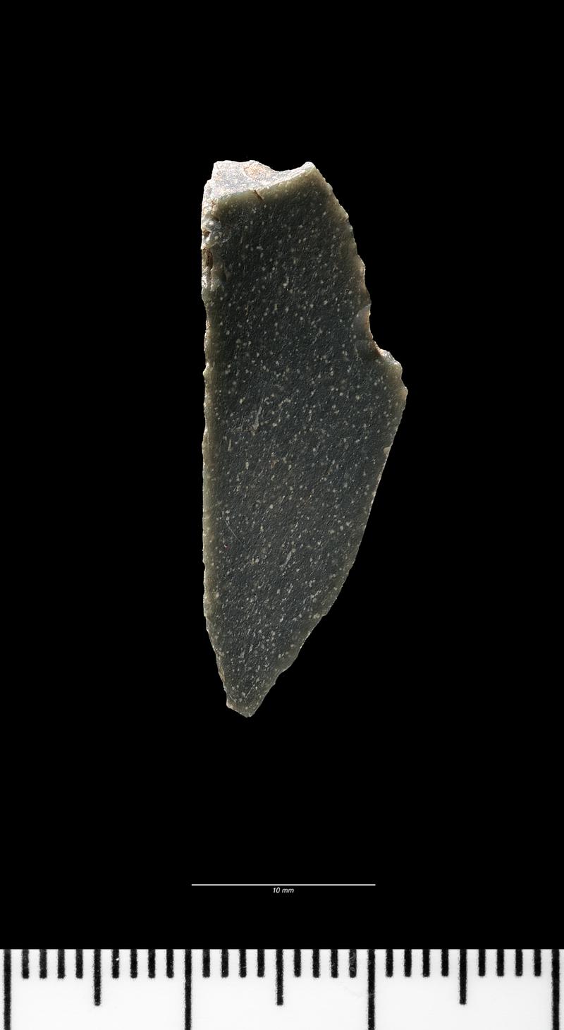 Upper Palaeolithic stone blade from Hoyle's Mouth Cave. Dorsal surface