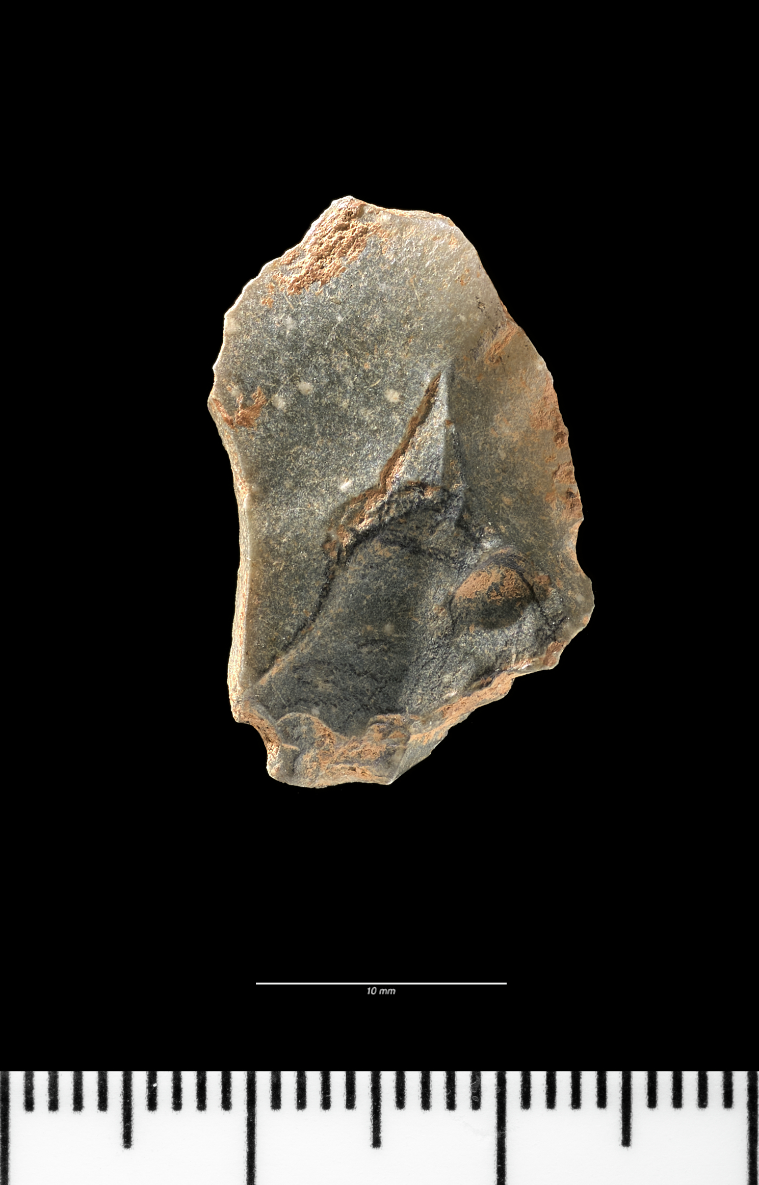 Middle Palaeolithic stone flake