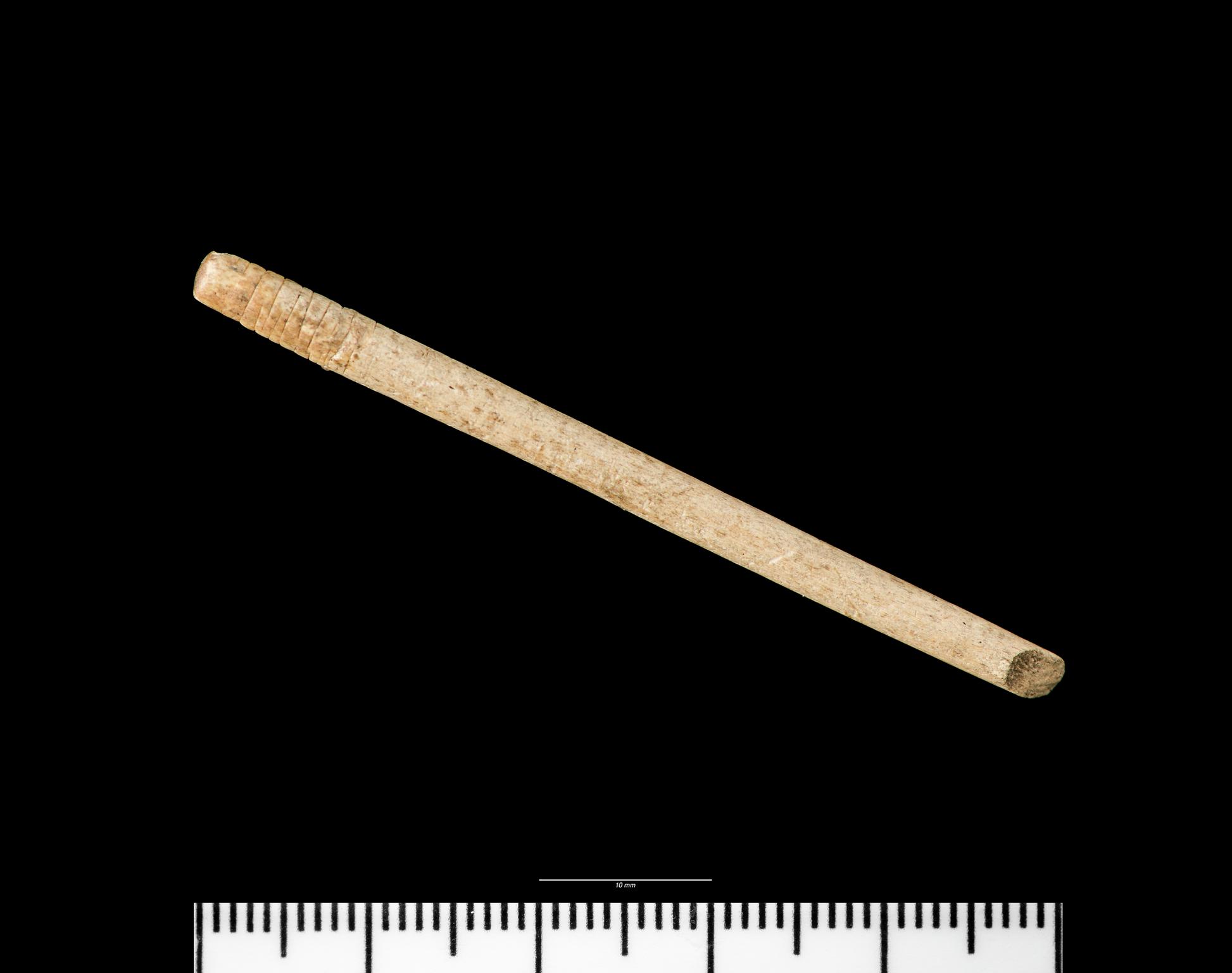Early Medieval bone pin