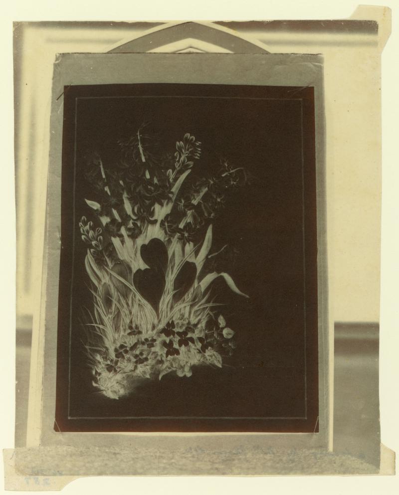 Flowers, paper negative
