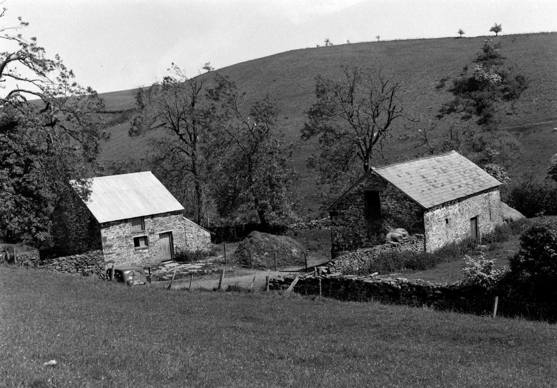 Quarter plate film negative