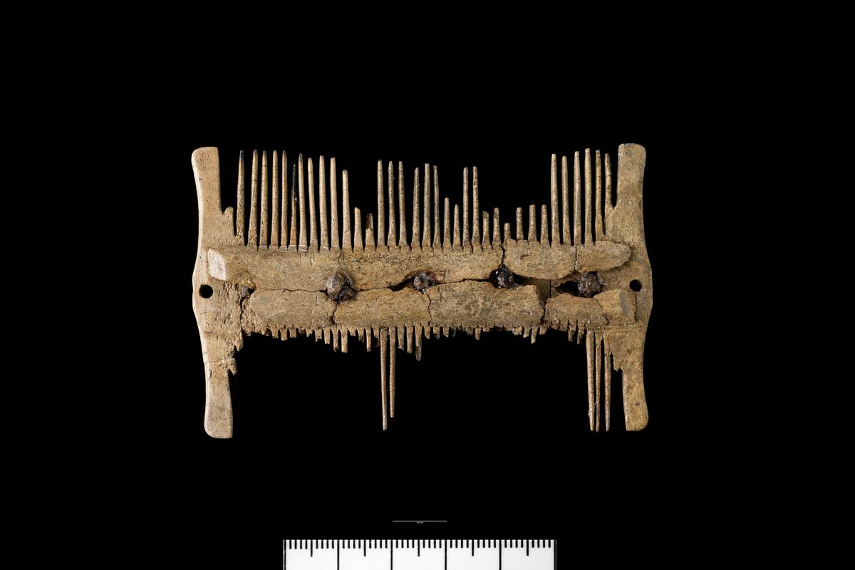 Early Medieval bone comb