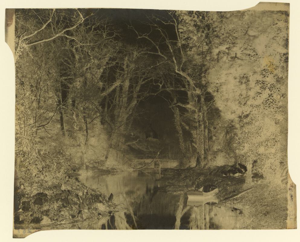 Penllergare, river above upper lake, negative