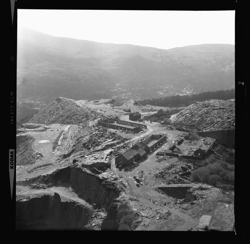 Photograph taken during a 'nature trail' around Dinorwig Quarry, April 1976.



2014.35/197-200 appear on the same strip negative.