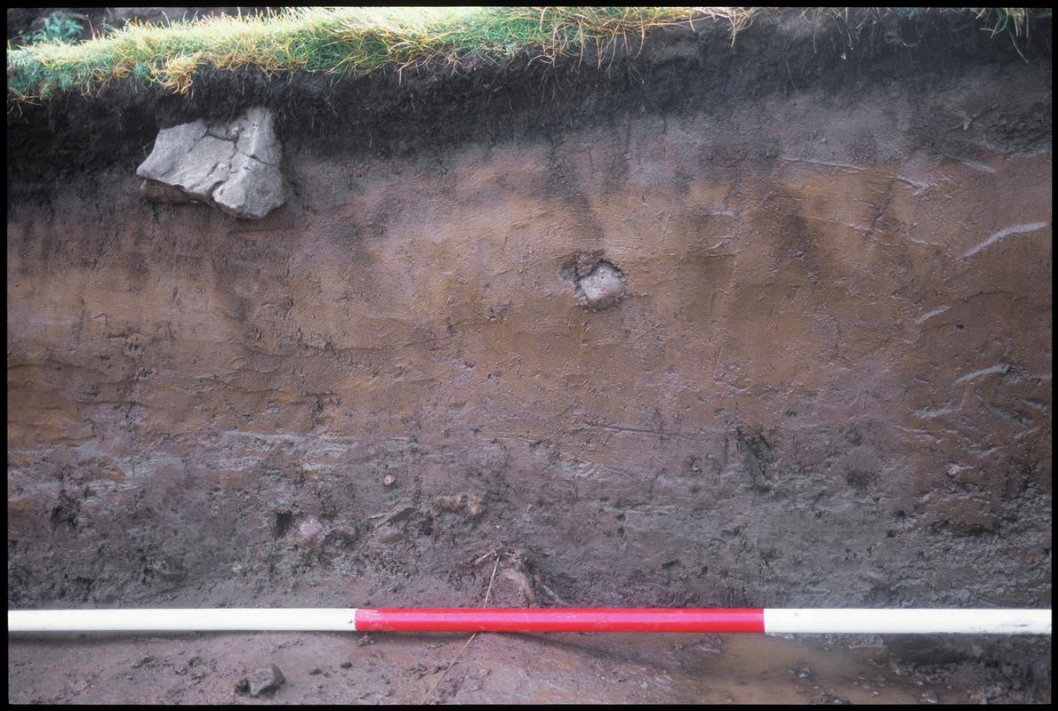 Burry Holms, Gower. 2001 Trench 4. Section at the south of the trench. Sequence shot 8.