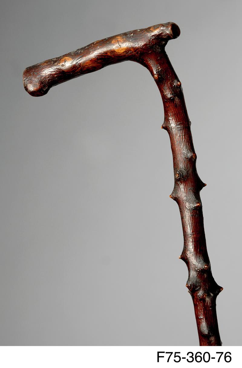 Walking stick