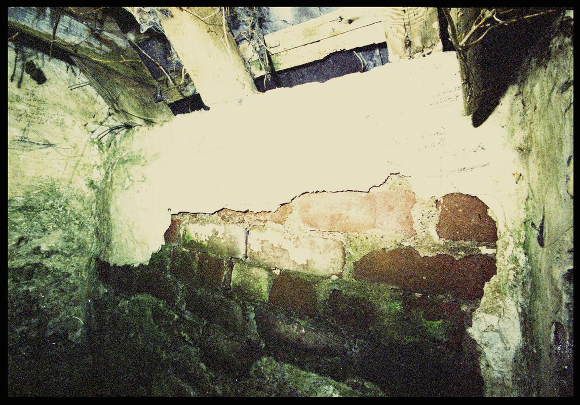 Graffitied tŷ bach in a garden in Trefin, slide