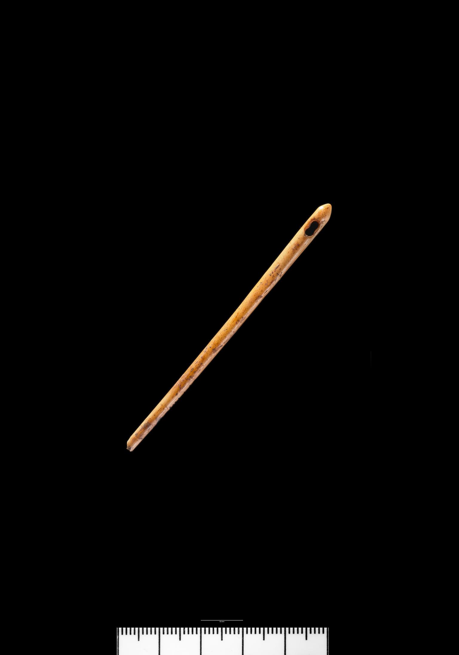 Roman bone needle
