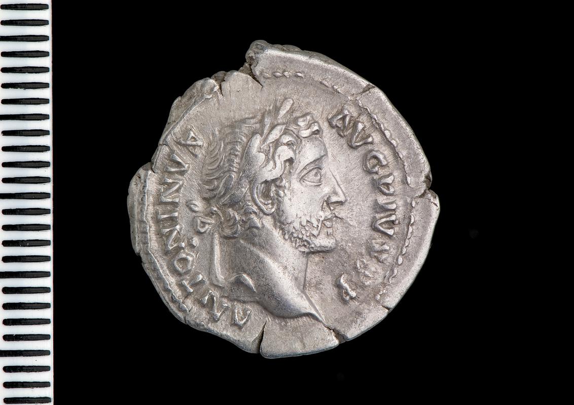 silver denarius (obv.)