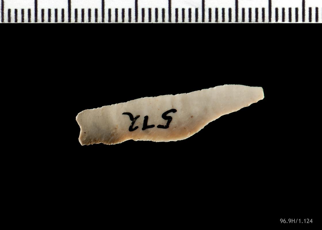 Mesolithic flint microlith