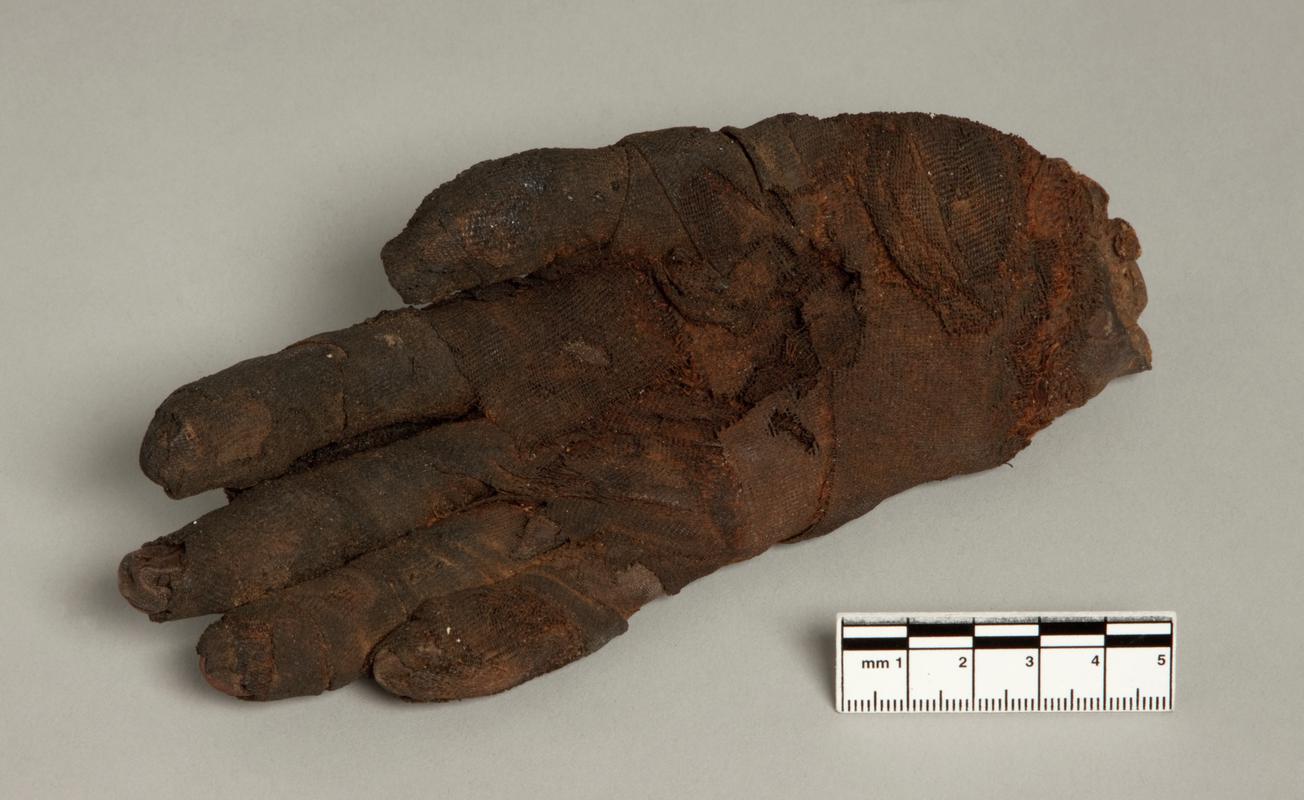 Mummified hand