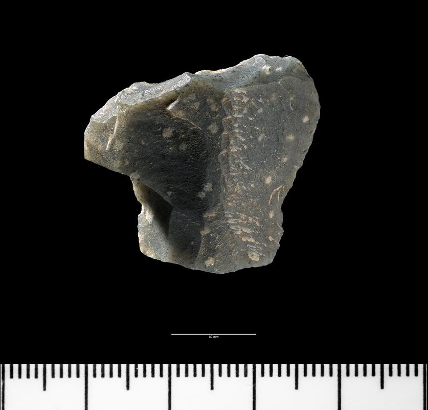 Early Upper Palaeolithic nosed end-scraper from Paviland Cave. Dorsal surface