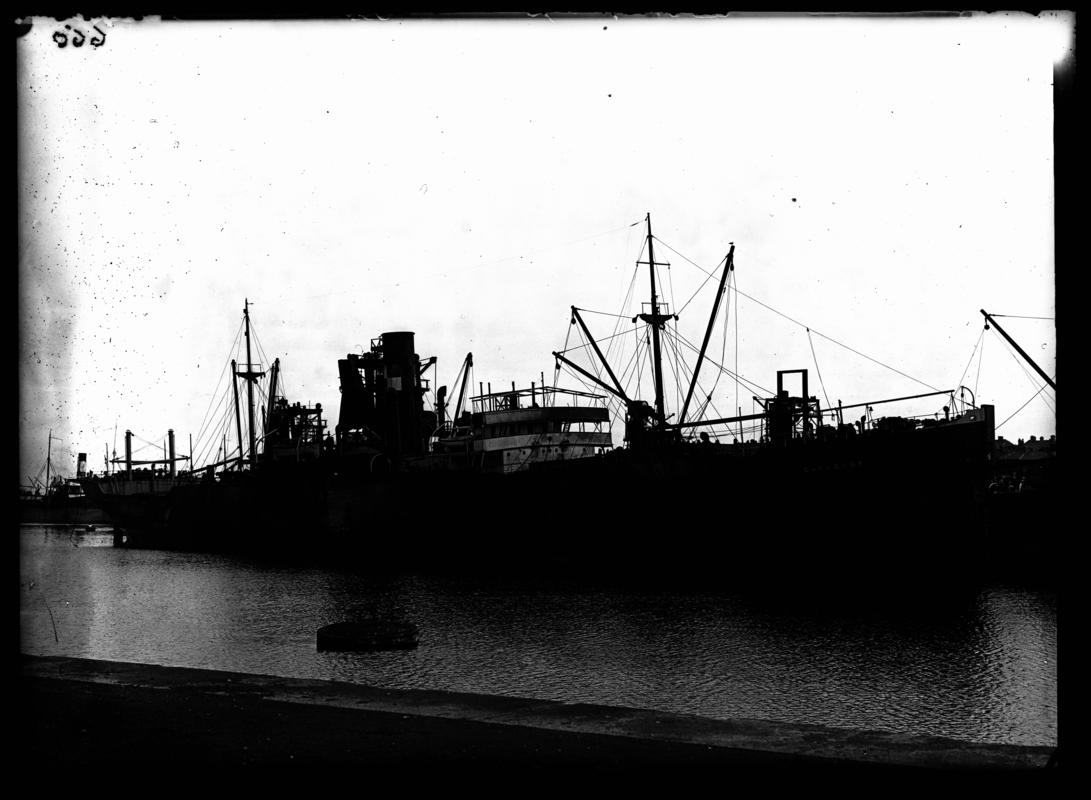 S.S. CARPERBY, glass negative