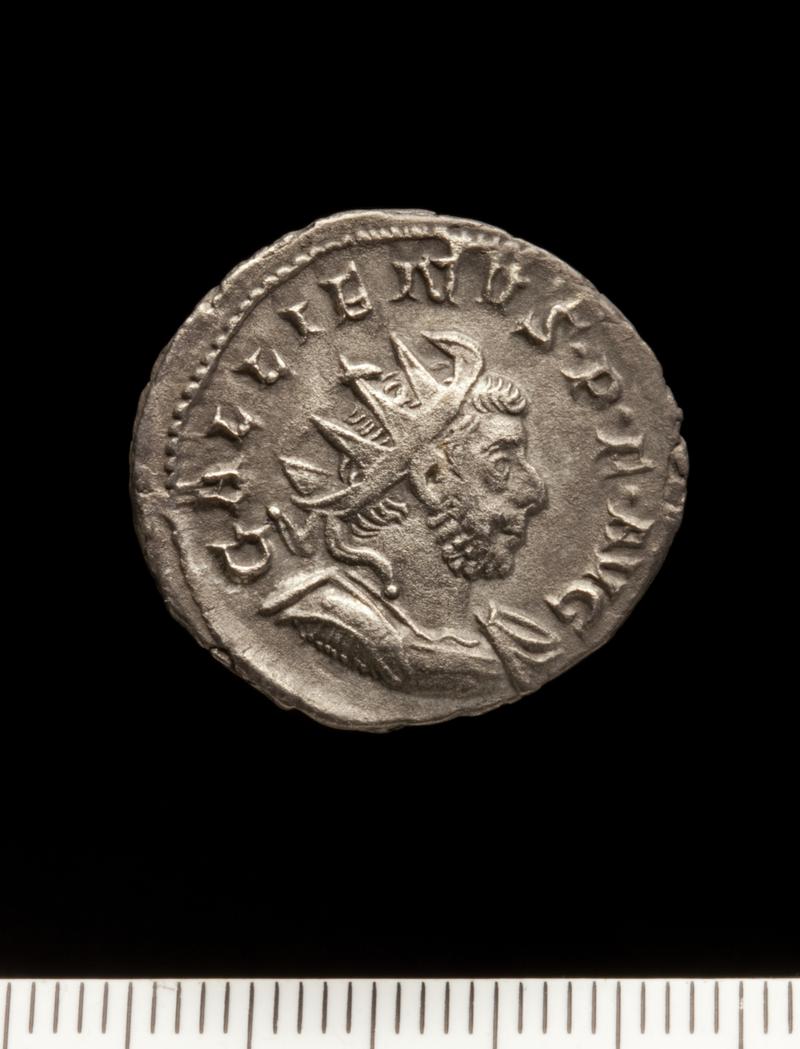 Sully Hoard I (1899)