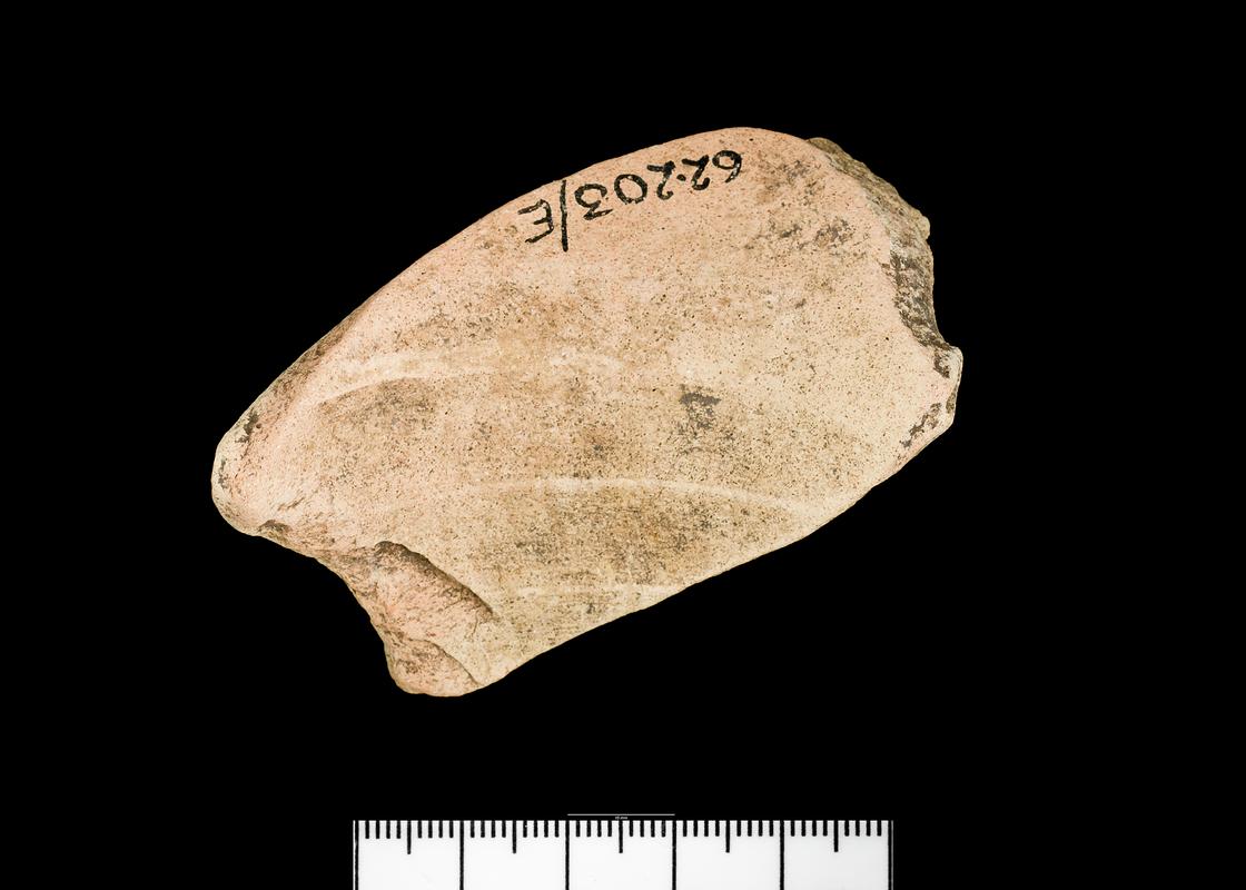 pottery amphora (sherd)