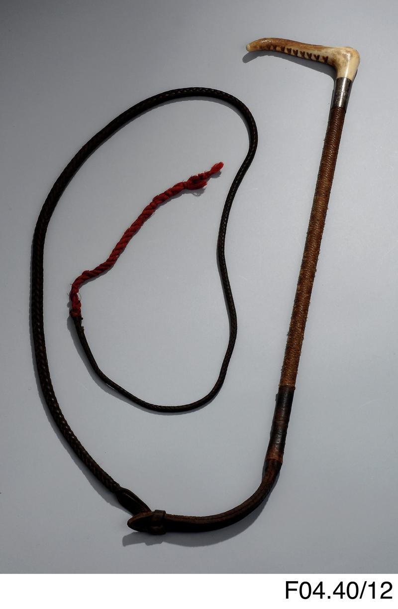 Hunting whip