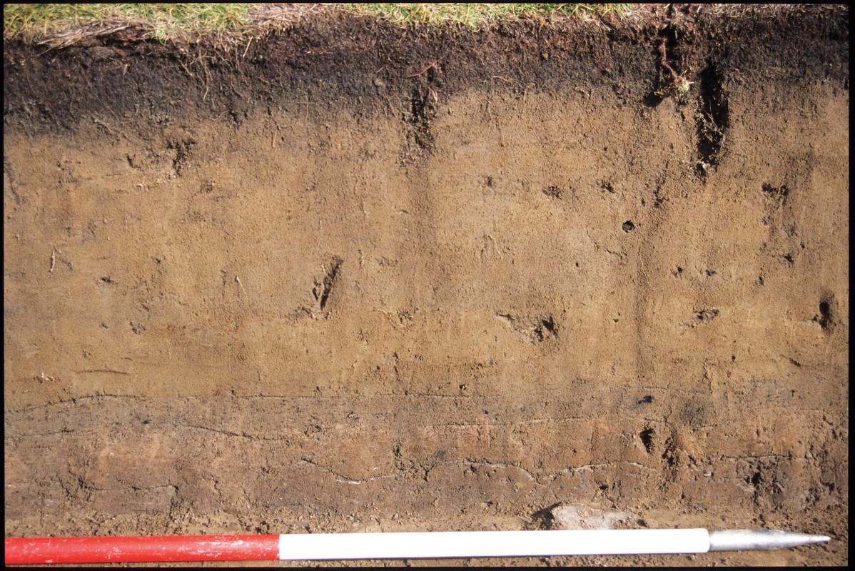 Burry Holms, Gower. 2001 Trench 4. Section at the east of the trench. Sequence shot 2.