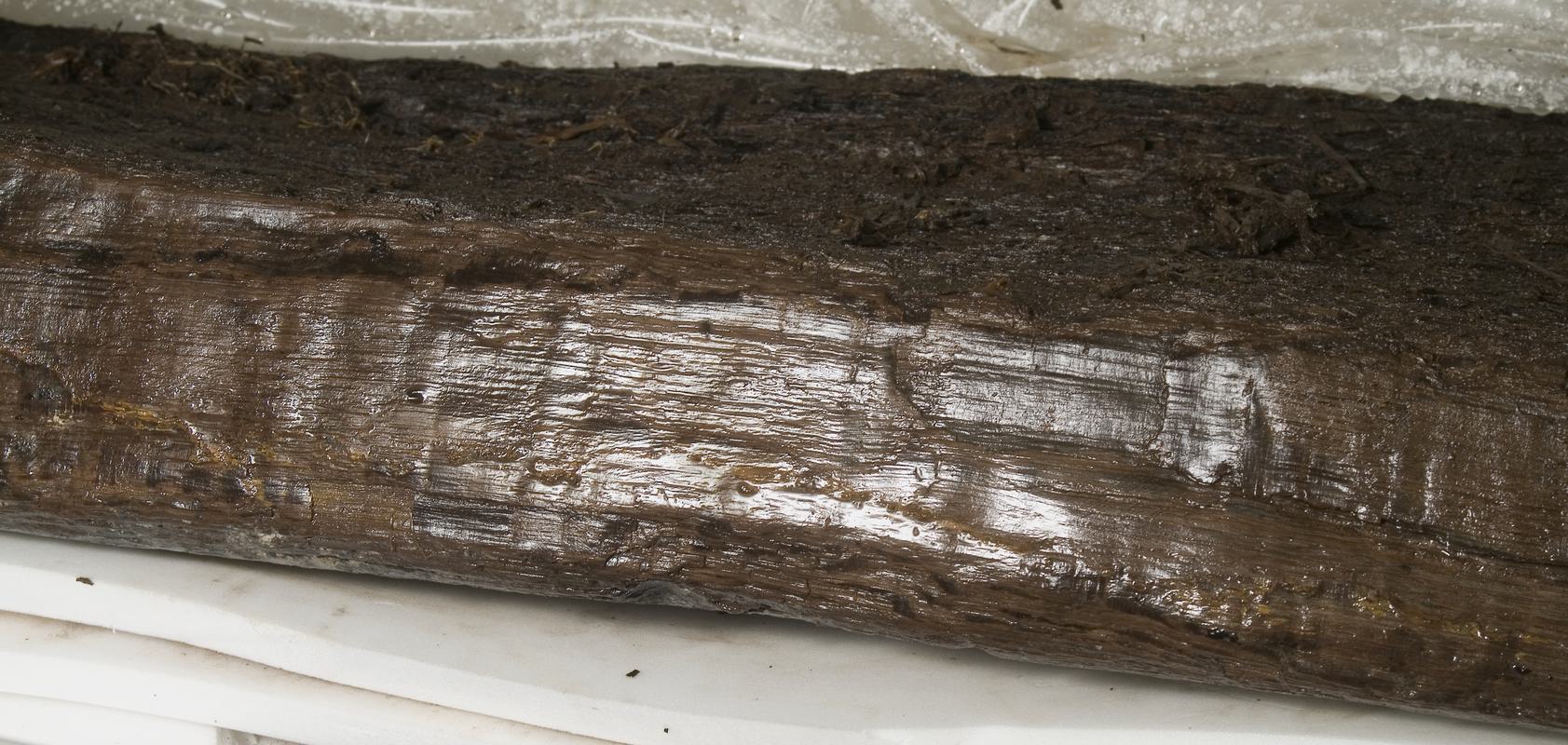 Bronze Age wooden trough