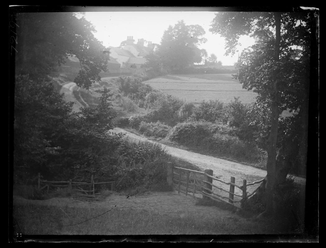 Quarter plate glass negative