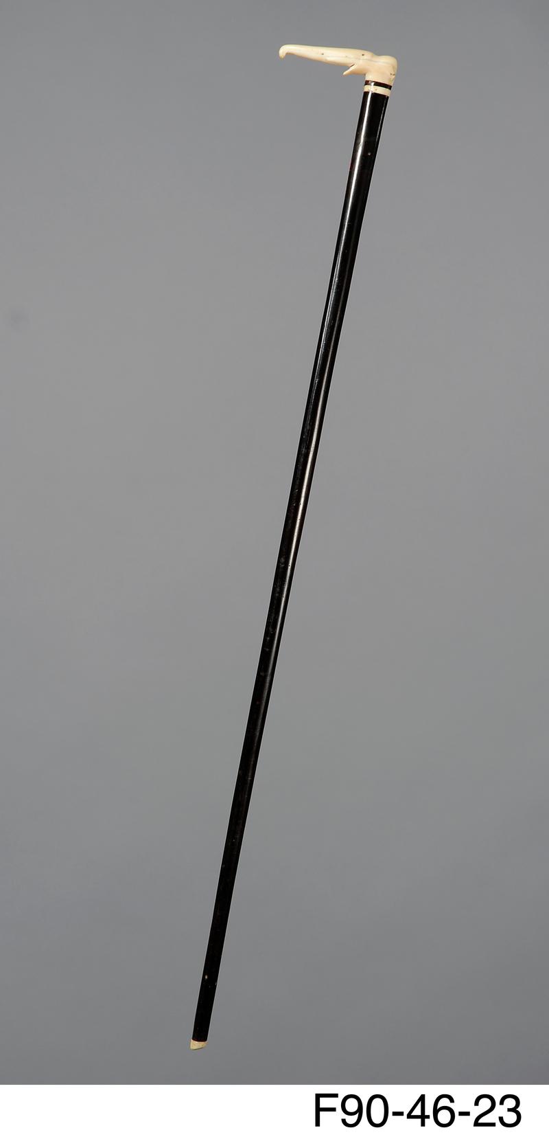 Walking stick