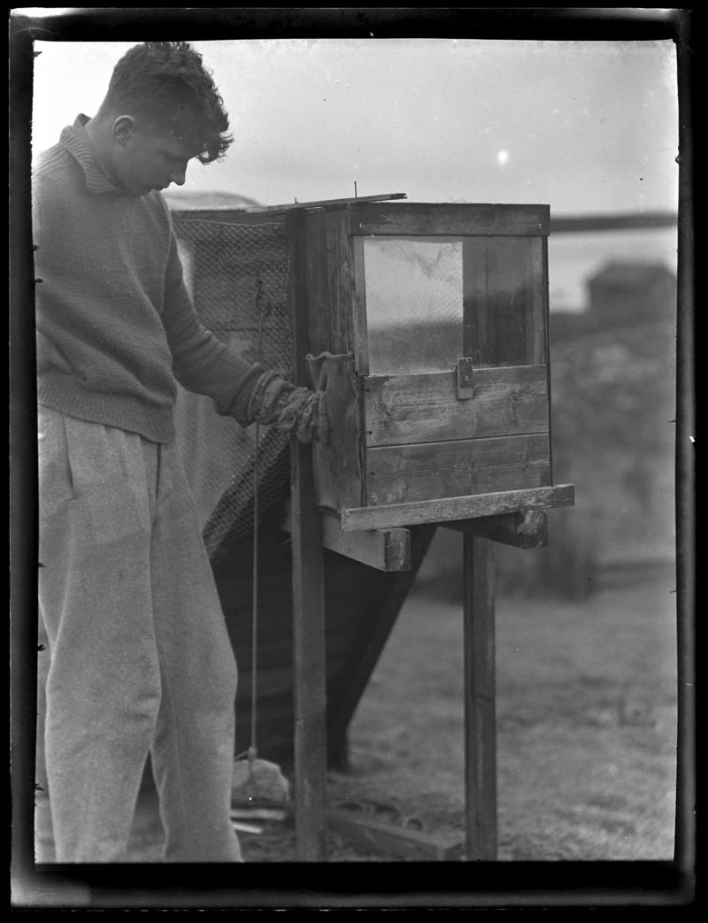 Trapping Box, glass negative