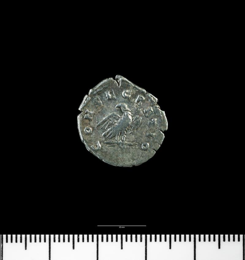 Divus Marcus denarius