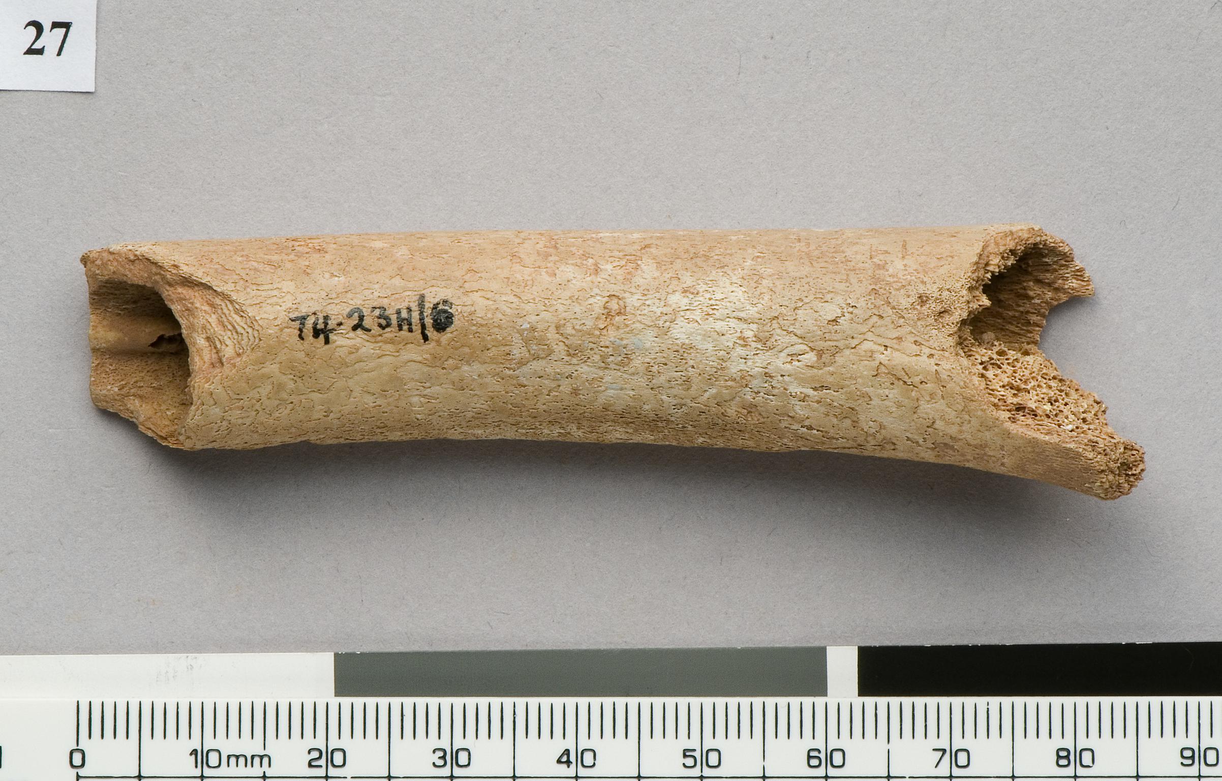 Neolithic bone flute