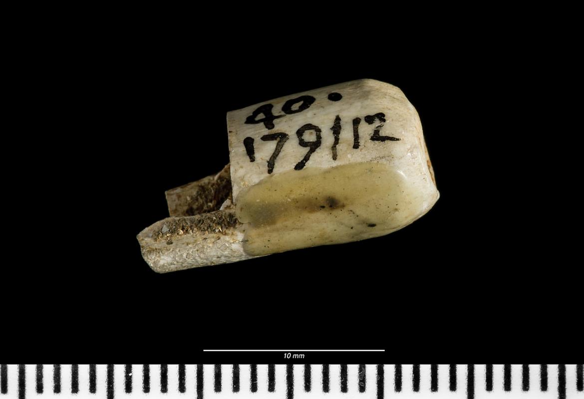 Early Bronze Age bone bead