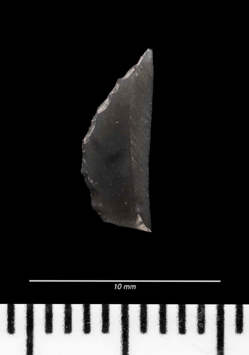 Late Mesolithic flint microlith