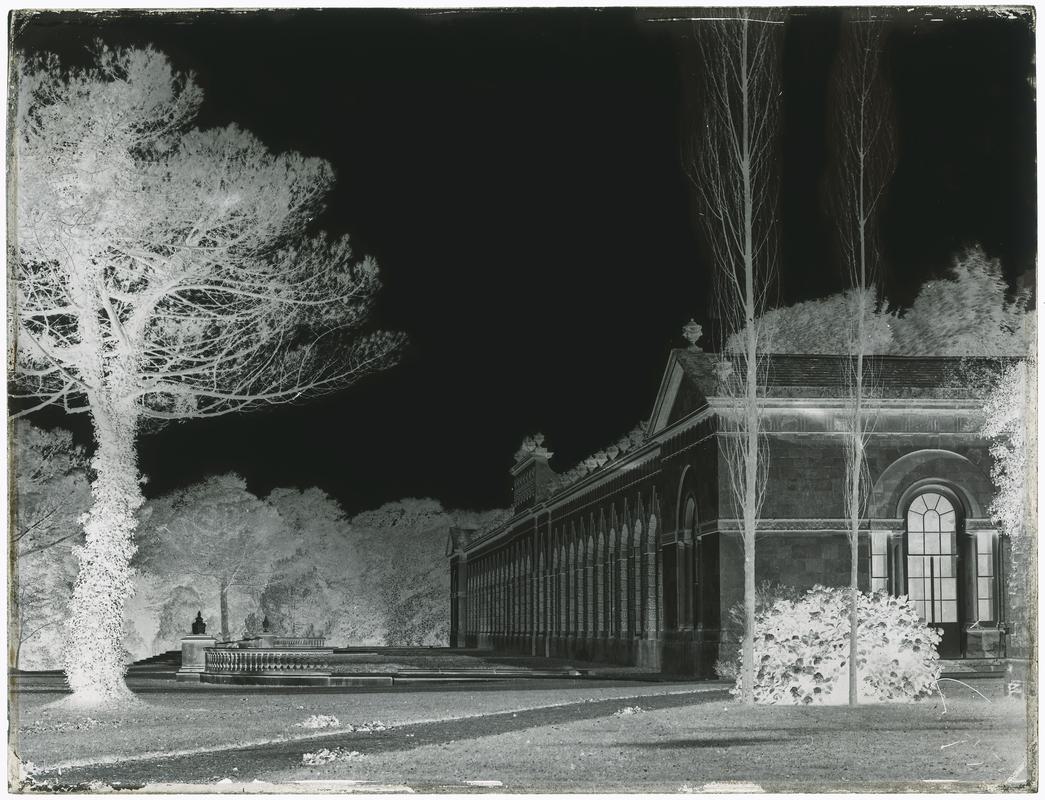 The Orangery, Margam, glass negative
