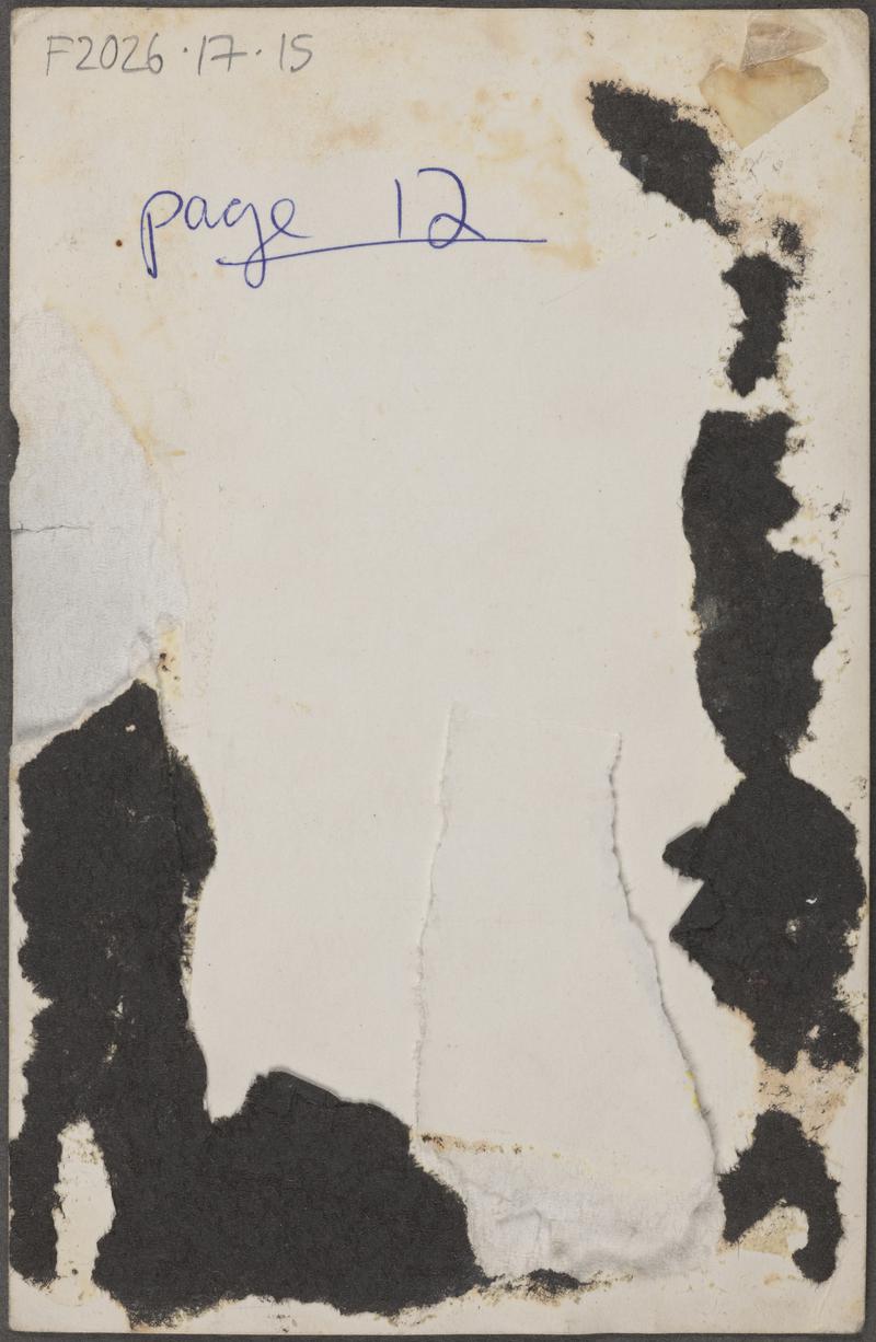 Photograph (print)