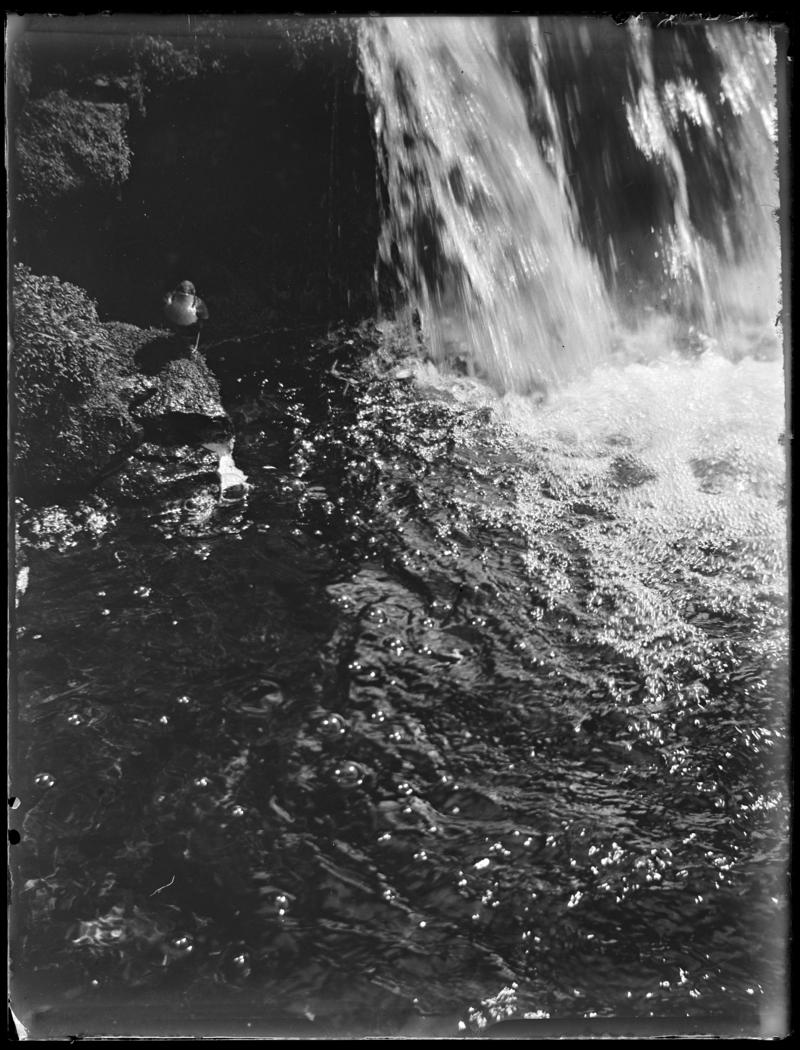 Dipper, glass negative