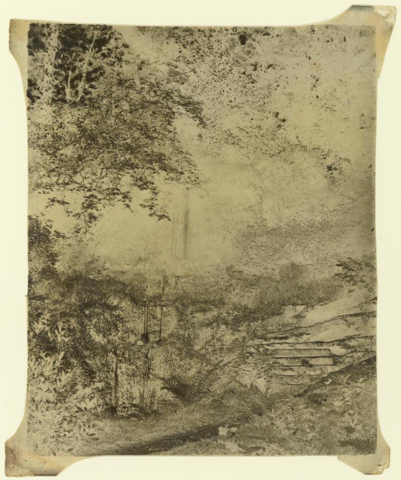 Penllergare, steps in valley, photograph