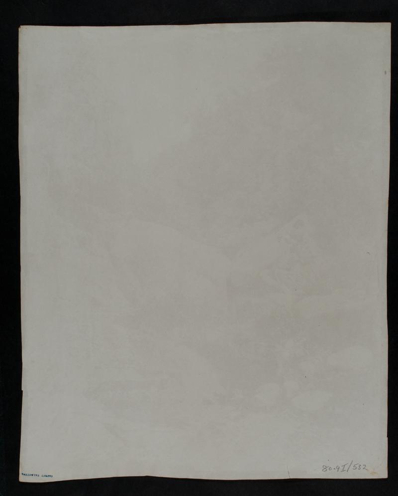 Stream running through woods, photograph