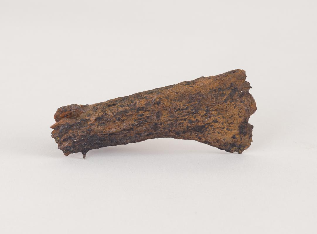 Roman iron axehead