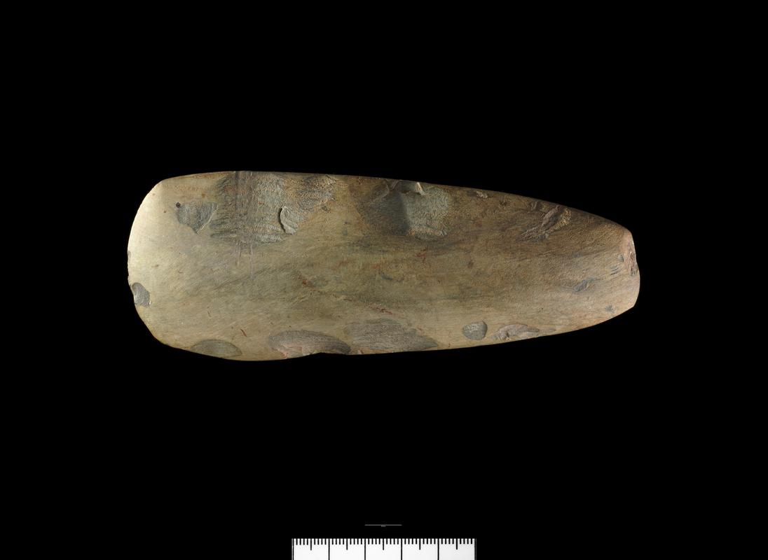 Neolithic stone axehead roughout