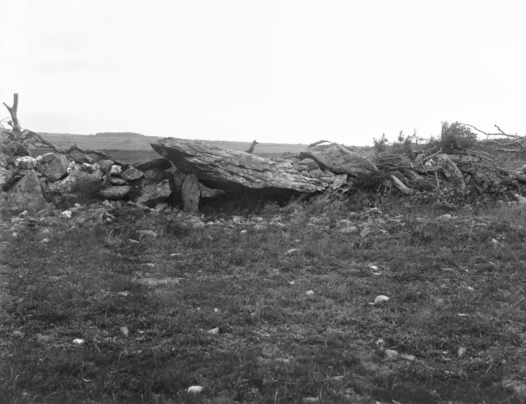 Photographic Negative