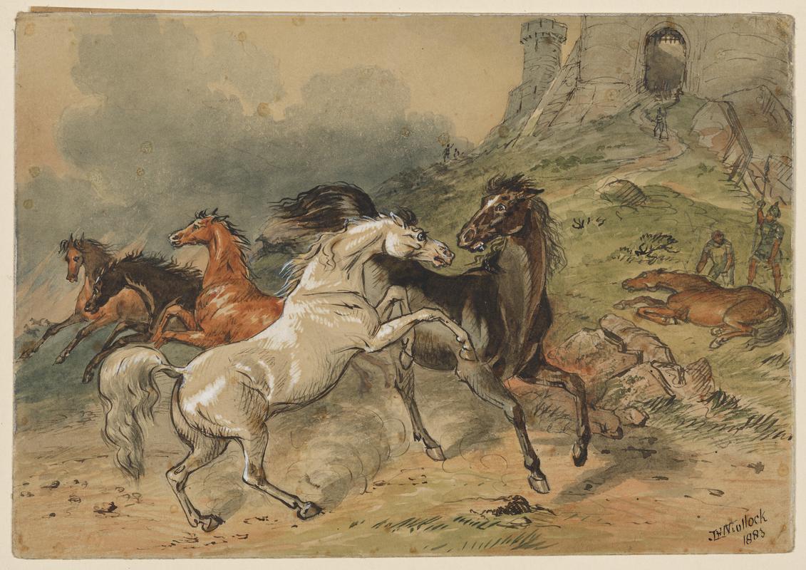 Duncan's Horses